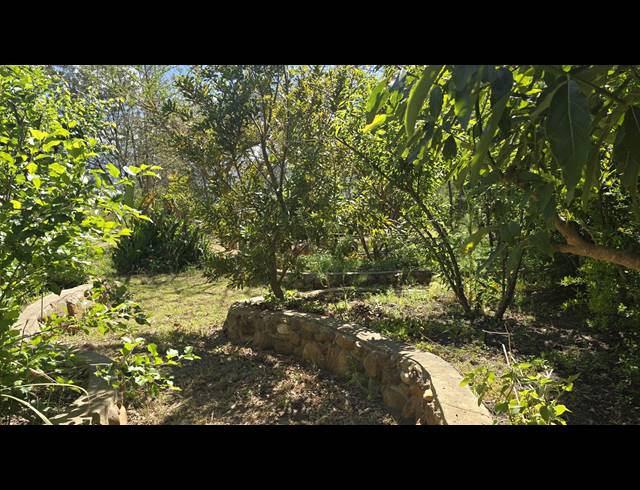 8,627M² FARM FOR SALE IN GREYTON